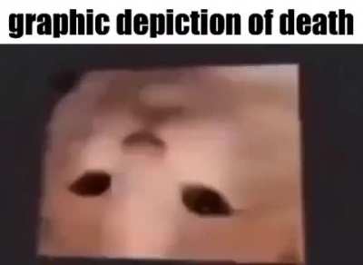 mortality salience