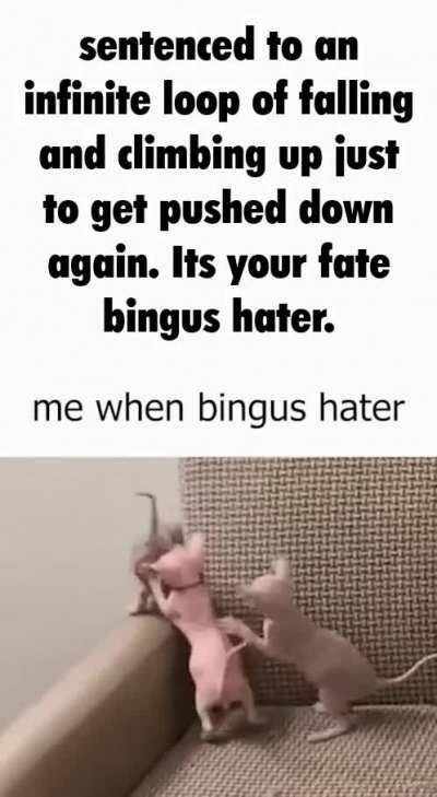 rule