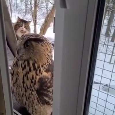 Dude, Holy Sh!t, whats that!