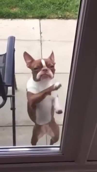 Dance with me