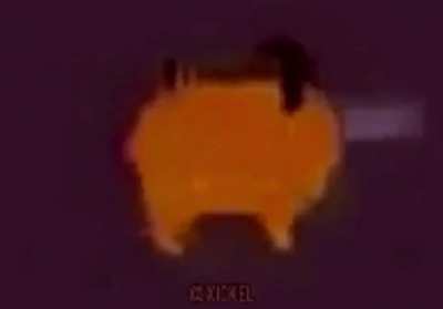 Me when I was high last night