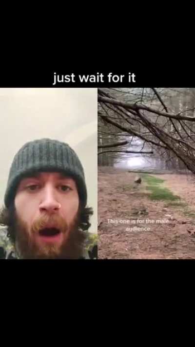 Return to Monke