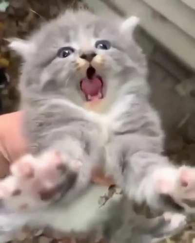 He's not happy