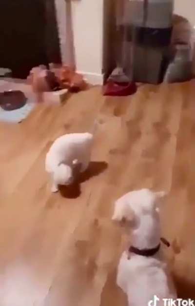 You wanna dance with me ?