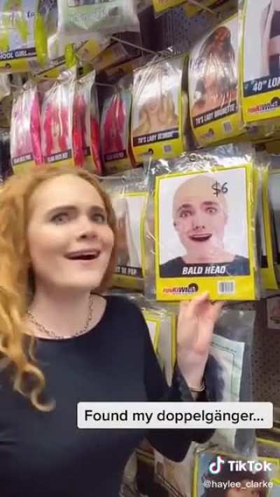 Finding your doppelgänger