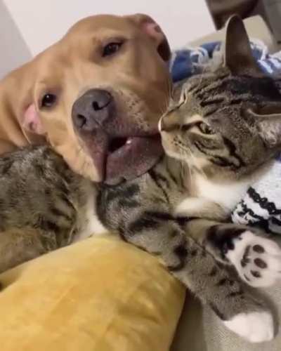 Just Love😘😍🥰