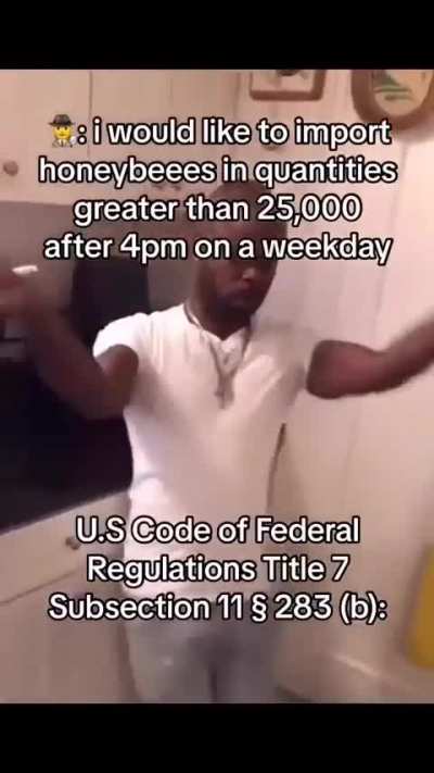 Losercity federal regulation 