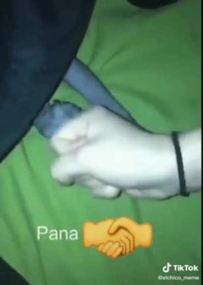 P A N A S🤝