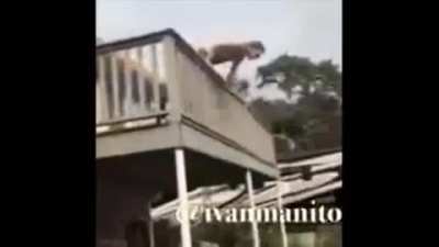 ahí viene aquaman!!1