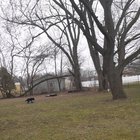 Soccer with Lola.