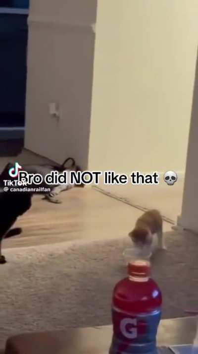 Wunkus would have preferred if he didn’t do that.