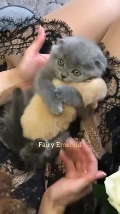 important video