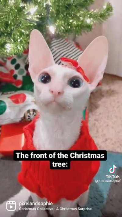 Low elf esteem