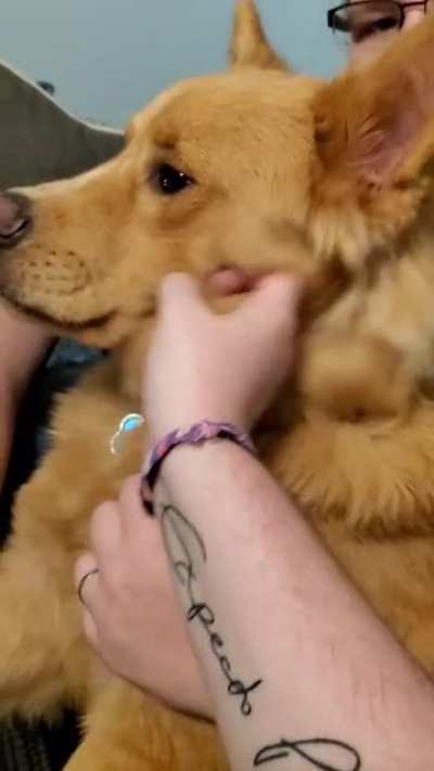 All smiles after finding his forever home!