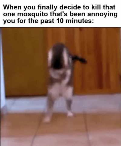 I have patience, but my patience doesn't.