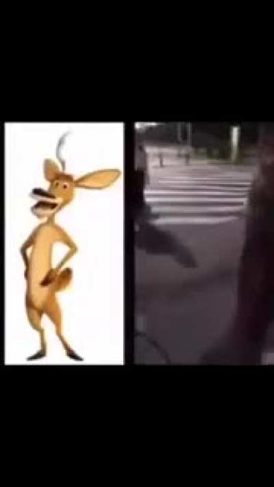 Igual