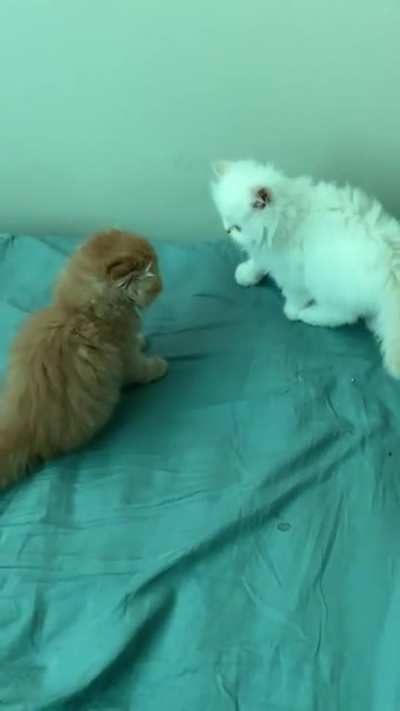 He ate her food lol 