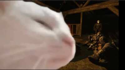Vibing cat stalker