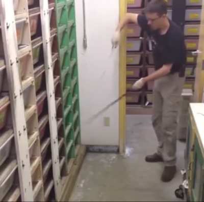 When the Job requires You to work under pressure