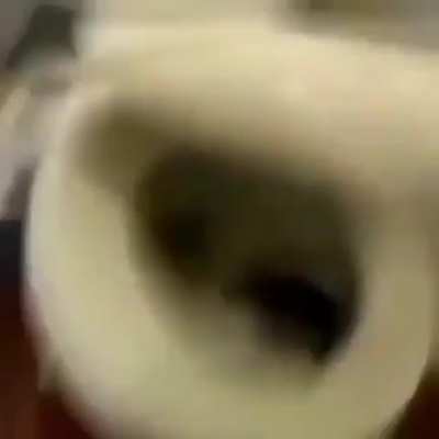 pipupapap