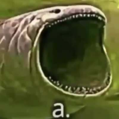 a