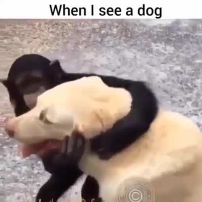 Every time