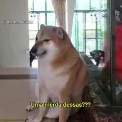 editiznha
