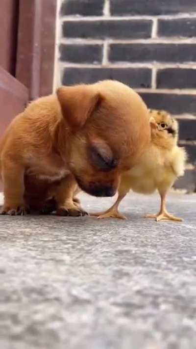 Awww😍😍😍