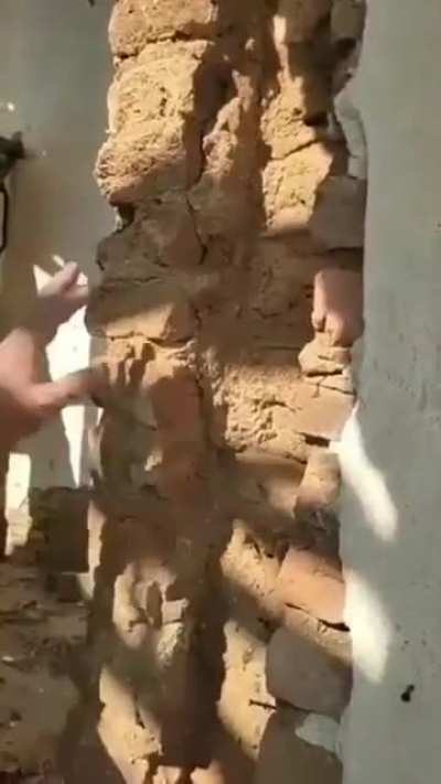 Just exploring a ruined house