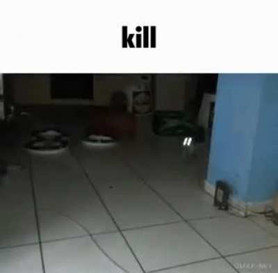 rule
