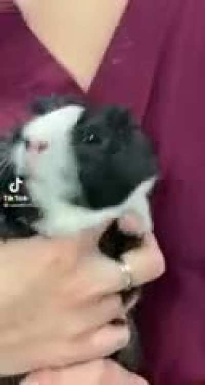 Oh no, he hates it../-