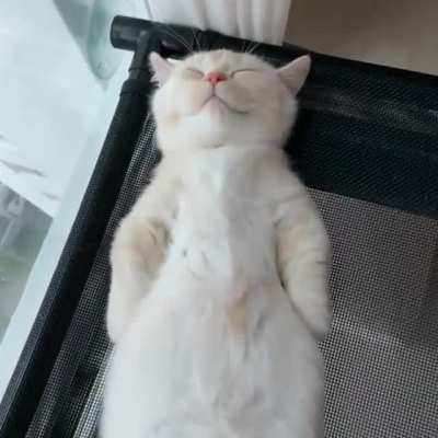 getting the daily tan on