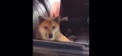 Bork