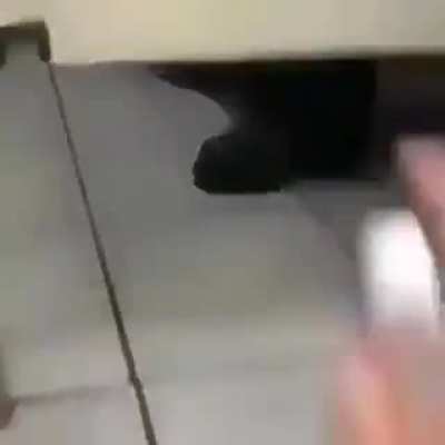 Cursed_prank