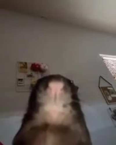 Ajuda ae