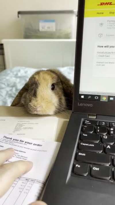 Watcha doing?
