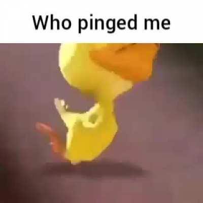 Discord light mode users be like