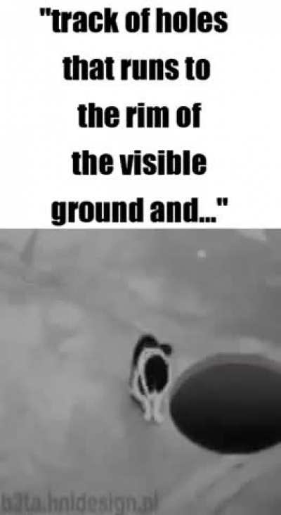 Philosophical Wunkus
