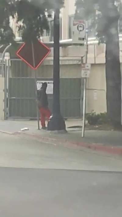 my man found a nice place to rest his ass