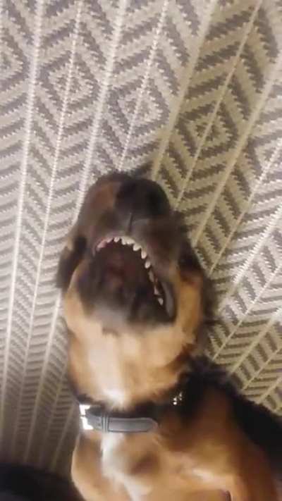I thought he was sleeping on his back