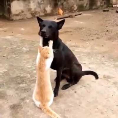 Don’t know if this has been cross posted here before but… cutest knead ever ❤️
