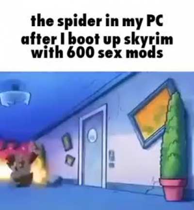 Spider