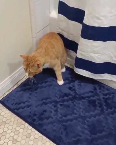 Purrrkour