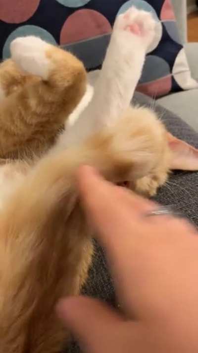 The cutest foot stretch