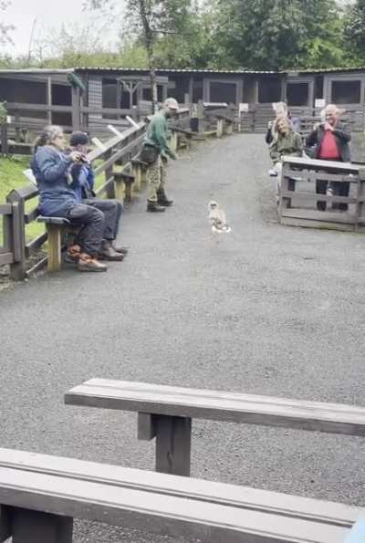 This guy’s run really cheered me up today…