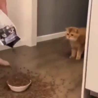 hungry