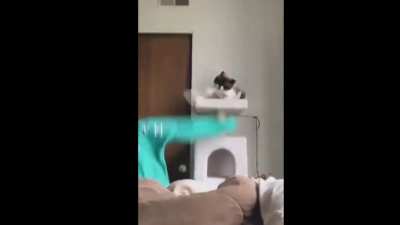 Cat and gf bonding