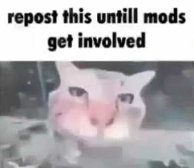 Repost