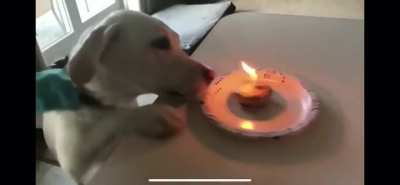 Happy birthday to you