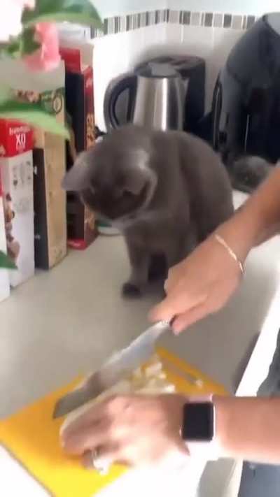 Look at his face
